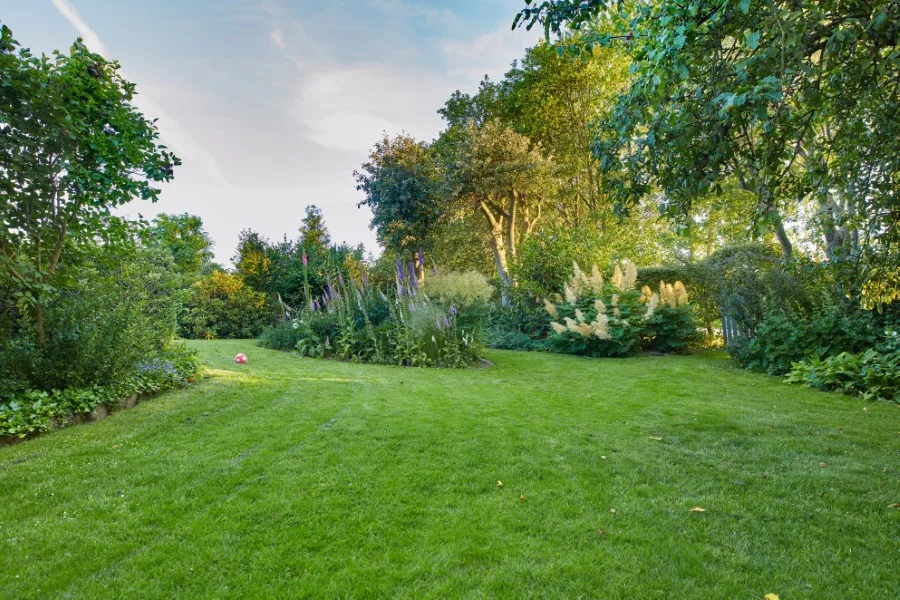 Grande pelouse dégagée dans un jardin arboré